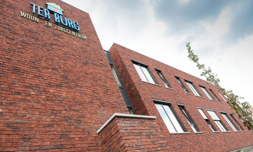 handvorm-gevelsteen-AL-71 wf hv rood paars genuanceerd – altena steenhandel – referentie 1 handvorm-gevelsteen-AL-71 wf hv rood paars genuanceerd - altena steenhandel - referentie 1